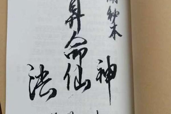 有什么算命看相的小说吗