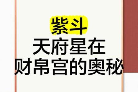 紫微斗数之财帛宫与诸星，破军星在财帛宫是什么意思？