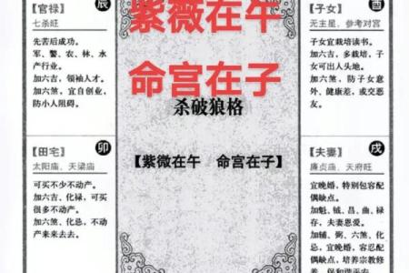 紫薇斗数下载软件