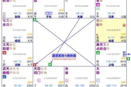 紫薇斗数怎么批命
