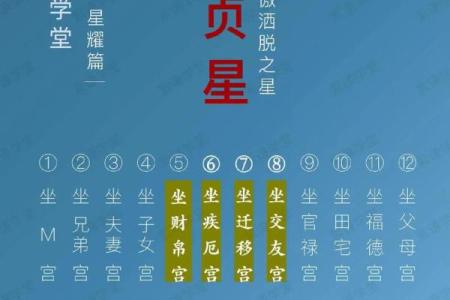 亨贞紫薇斗数