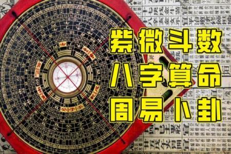 紫薇斗数分析推演概论