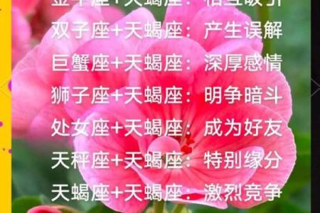 十二星座和天蝎座分手后的表现