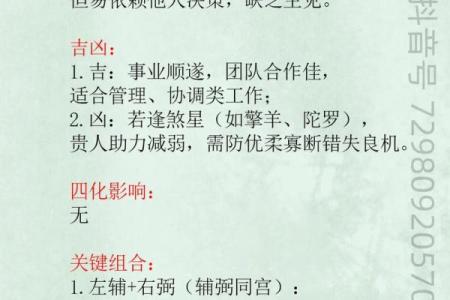 紫微斗数左辅星,紫微斗数左辅右弼同宫