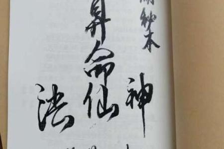有什么算命看相的小说吗