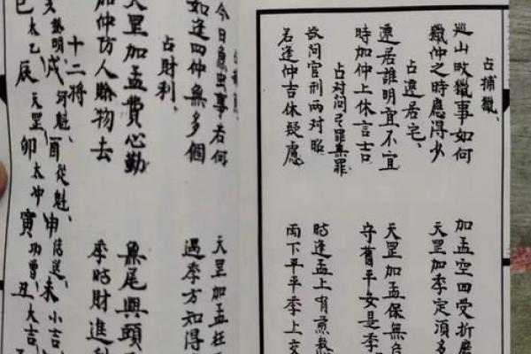紫薇斗数掌中决