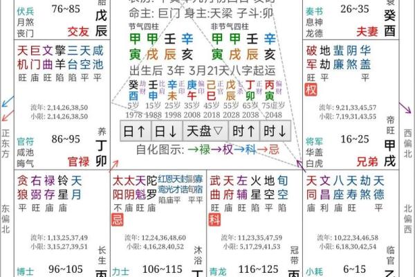 紫薇命理斗数app