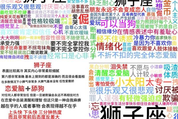 狮子座是图像星座吗