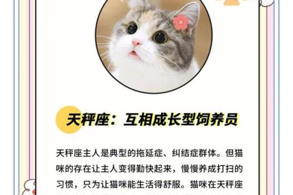 星座最适合什么猫类