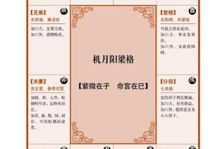 八字命宫实践：如何运用命宫预测人生？