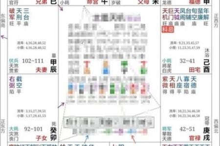 紫薇命理斗数app