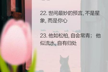 心灵答疑：沉迷算命怎么办？