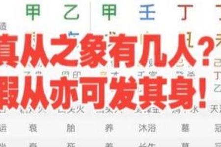 假从格局八字身价上亿
