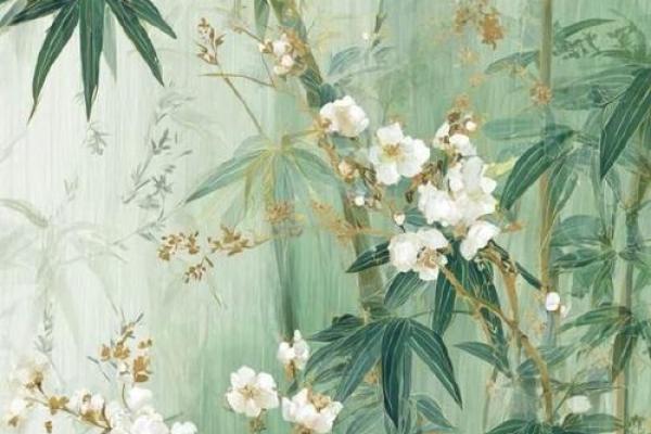 女算命壁纸