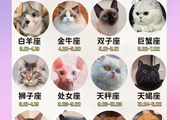12星座最可爱的是哪一个呢