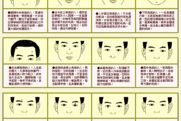五官看面相算命图解女眼睛 眼睛看相算命图解