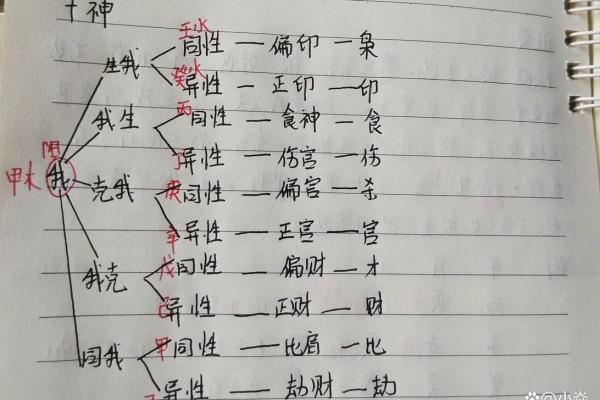 八字中十神在各柱的意义
