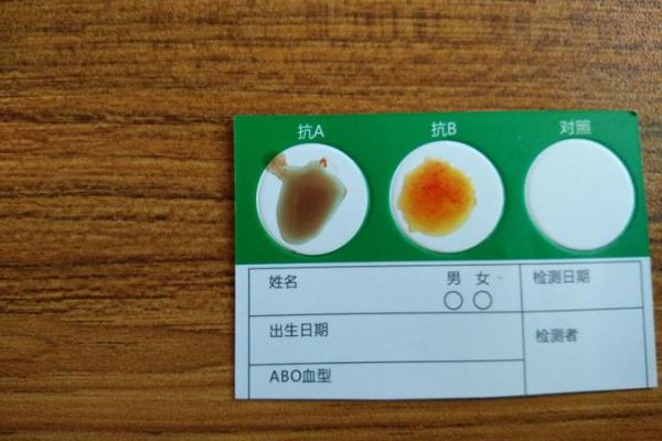 测试你的潜在血型