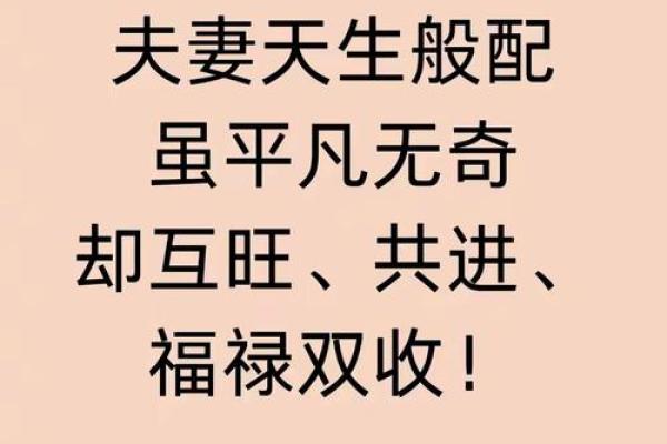 合八字属鸡和属猪的适合做夫妻吗