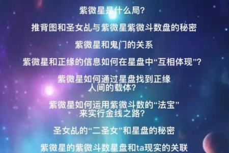 紫薇斗数重逢