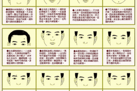 五官看面相算命图解女眼睛 眼睛看相算命图解