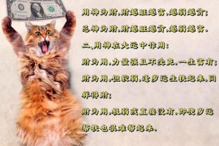 你八字穷苦还是富贵命