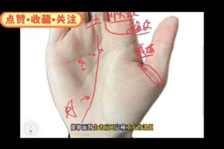 凯帝阿手相算命图解大全05