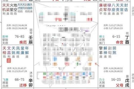 紫微斗数之夫妻宫在丑宫，是什么意思？