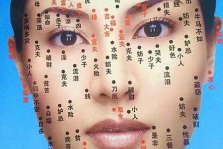 脸上各部位的胎记如何分析算命？