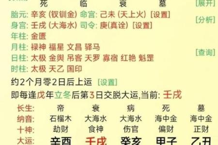 大运与八字