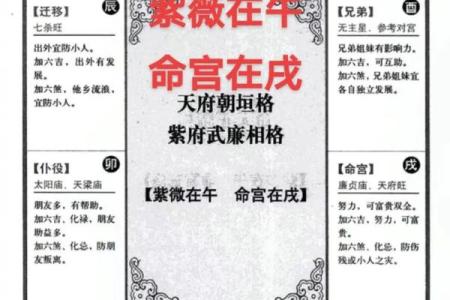 紫微斗数之福德宫与诸星，贪狼星在福德宫是什么意思？