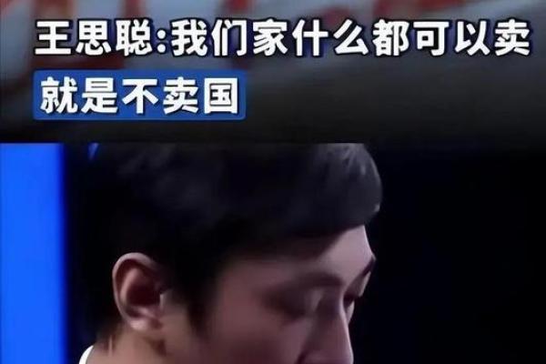 王思聪紫薇斗数