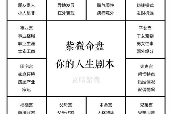 紫薇斗数好命的女人