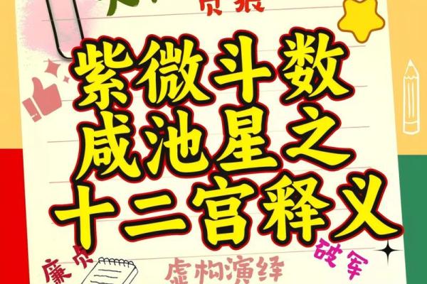 紫薇斗数反推生辰