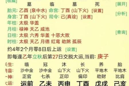 辛未八字