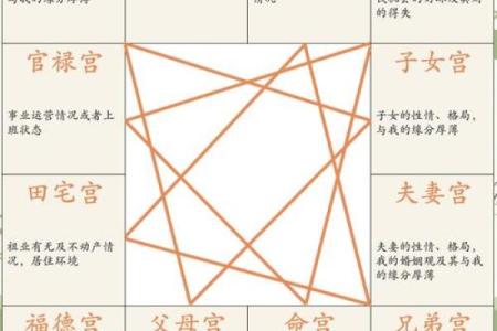 紫微斗数诸星落命宫之：生年岁前十二神详解