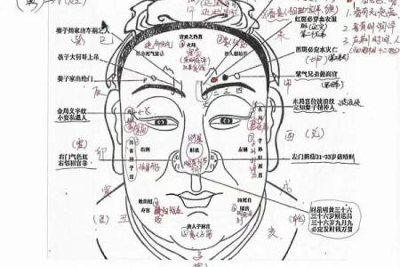什么是八字弃命格局 八字弃命格局解析