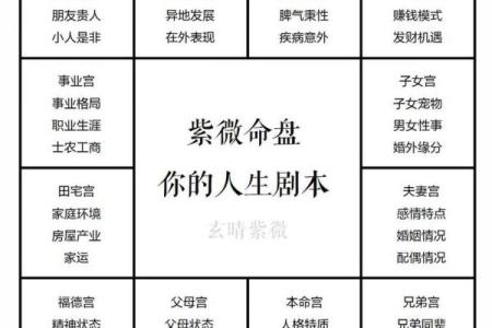 紫薇斗数好命的女人