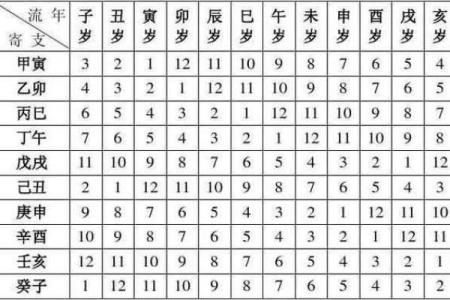 【八字起串宫详解】-从八字申命到十二宫位解析