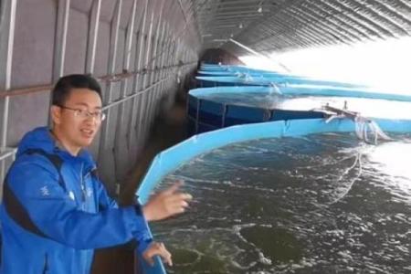风水招财_养虾招财么
