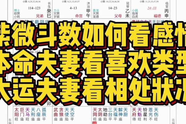 紫微斗数长情 紫微斗数另一半长相？