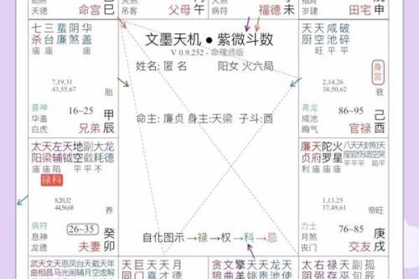 紫薇斗数断学业