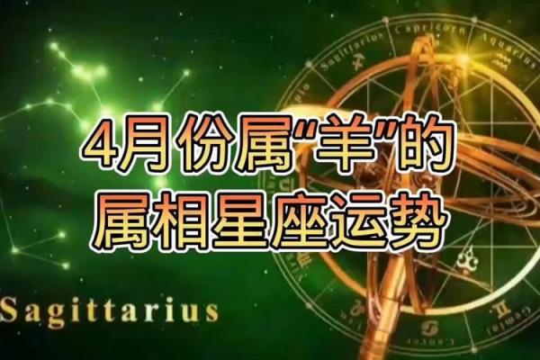 属羊的每个月星座运势如何