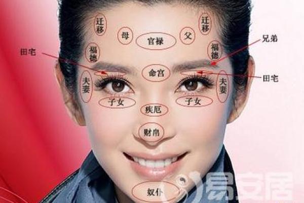 看鼻子面相算命大全