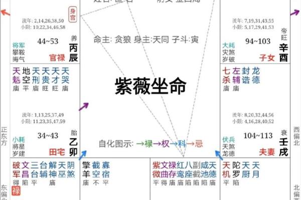 讲解简版 命无主星13 弘扬优秀传统文化 发扬紫微斗数 #紫微斗数