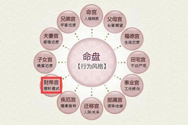 紫薇斗数博士入财帛