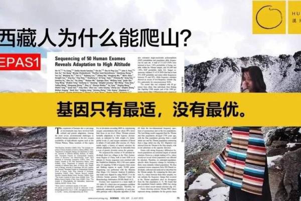 尹烨：为什么我不建议你算命，因为算命是混沌系统！