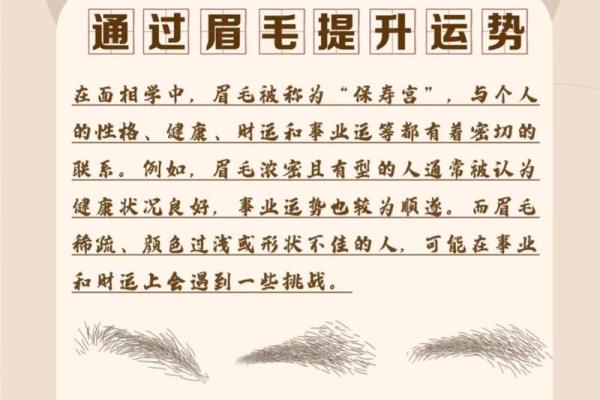 面相风水女人十大富贵眉毛你有吗