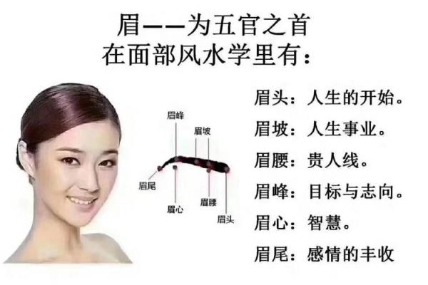 面相风水女人十大富贵眉毛你有吗