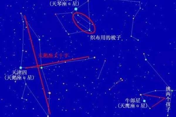 牛郎织女分别指哪两个星座女